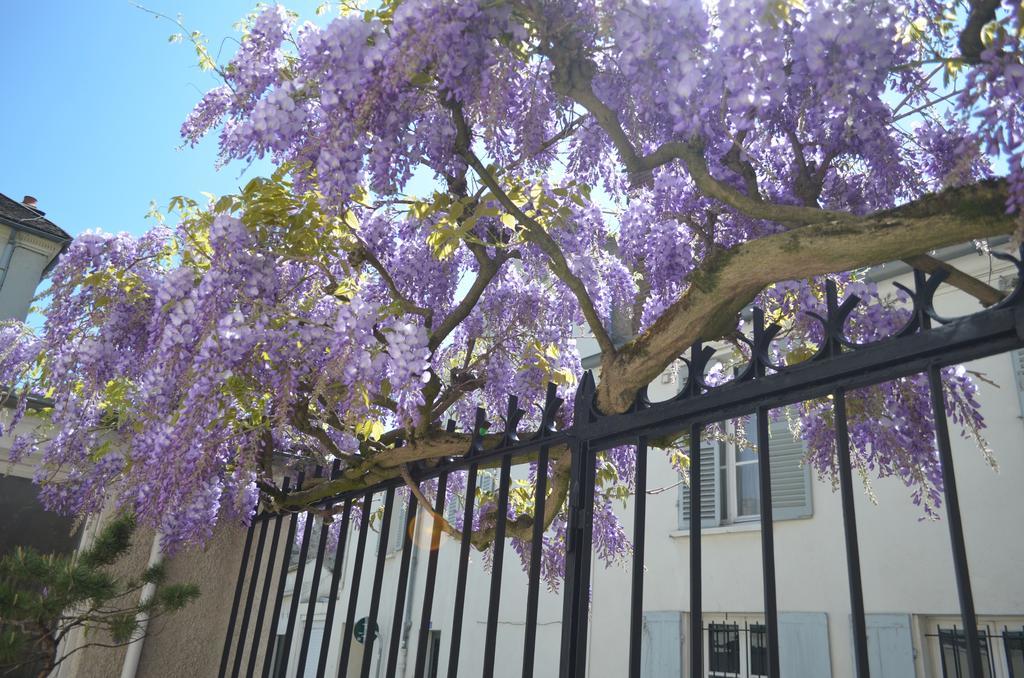 Wisteria Bed and Breakfast Φονταινεμπλώ Εξωτερικό φωτογραφία