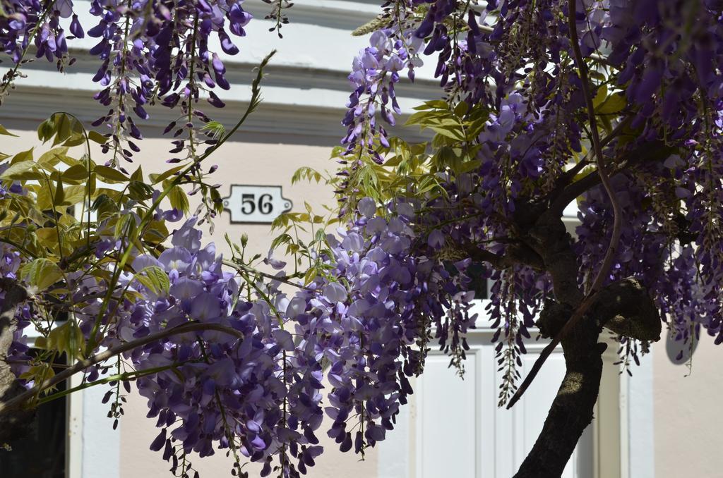 Wisteria Bed and Breakfast Φονταινεμπλώ Εξωτερικό φωτογραφία